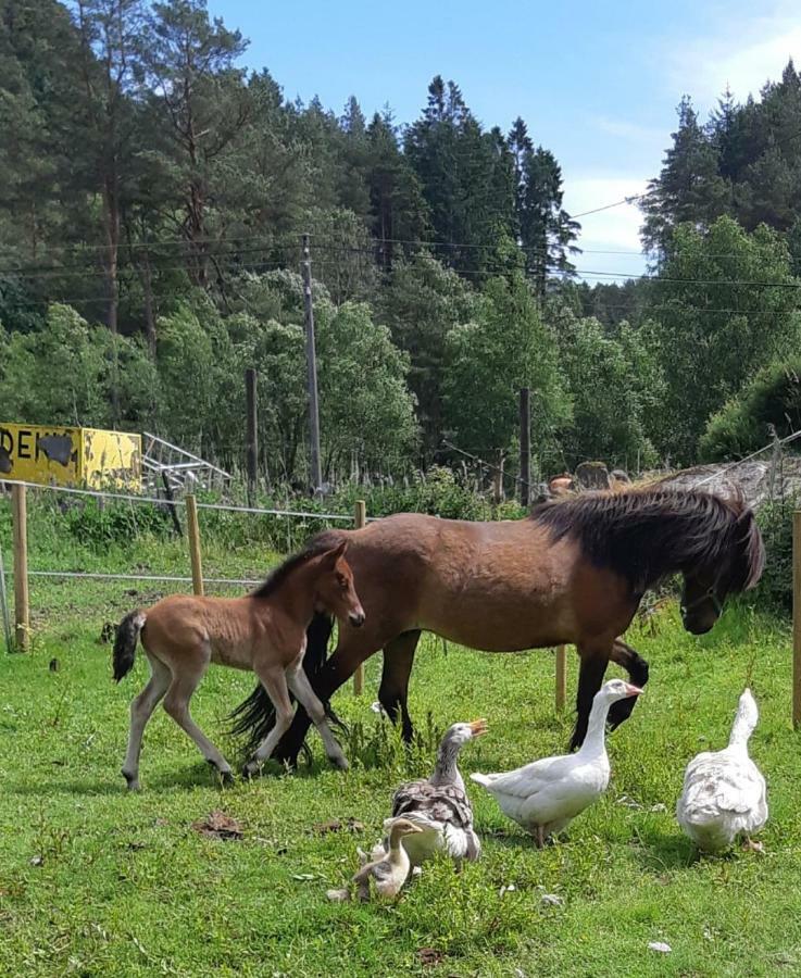 Stall Hav-Vik Farmstay 파르순 외부 사진