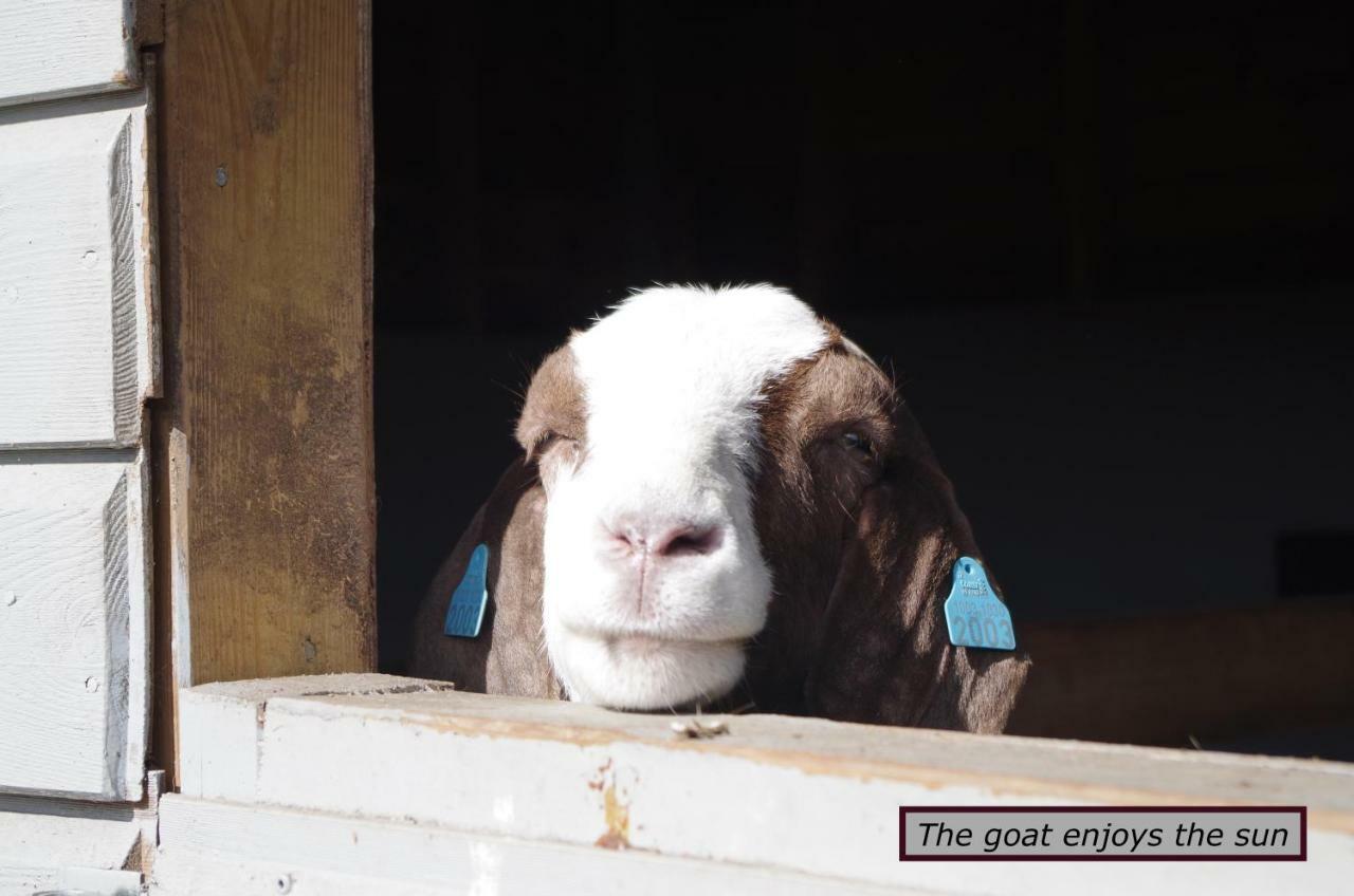 Stall Hav-Vik Farmstay 파르순 외부 사진